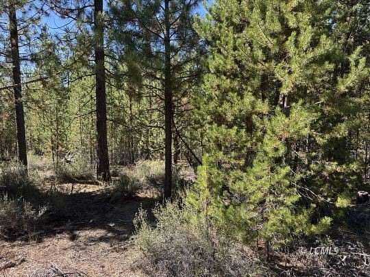 1.1 Acres of Residential Land for Sale in Crescent Lake, Oregon