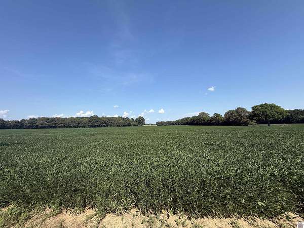 52.2 Acres of Agricultural Land for Auction in Hardin, Kentucky