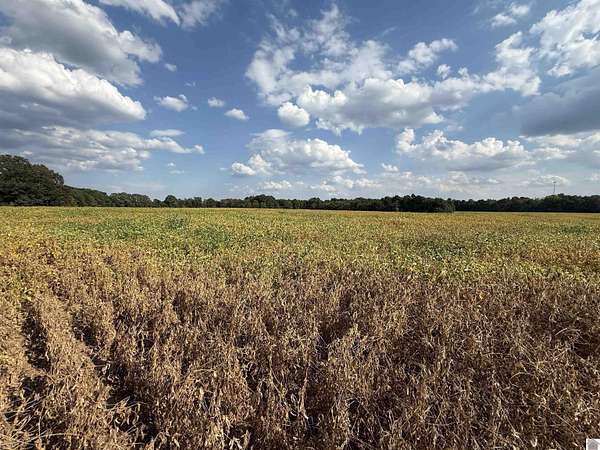 85.4 Acres of Agricultural Land for Auction in Hardin, Kentucky
