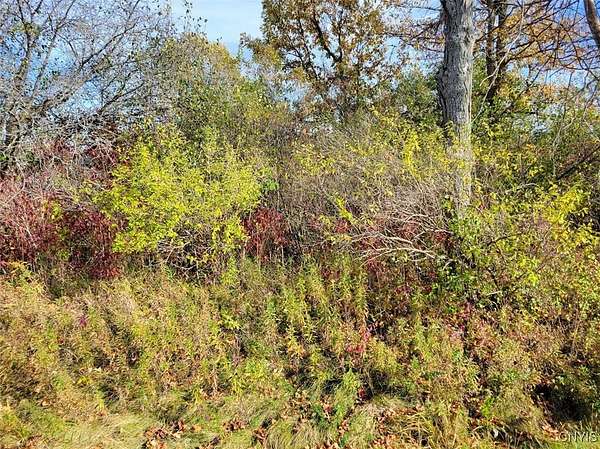 0.25 Acres of Land for Sale in Chaumont, New York