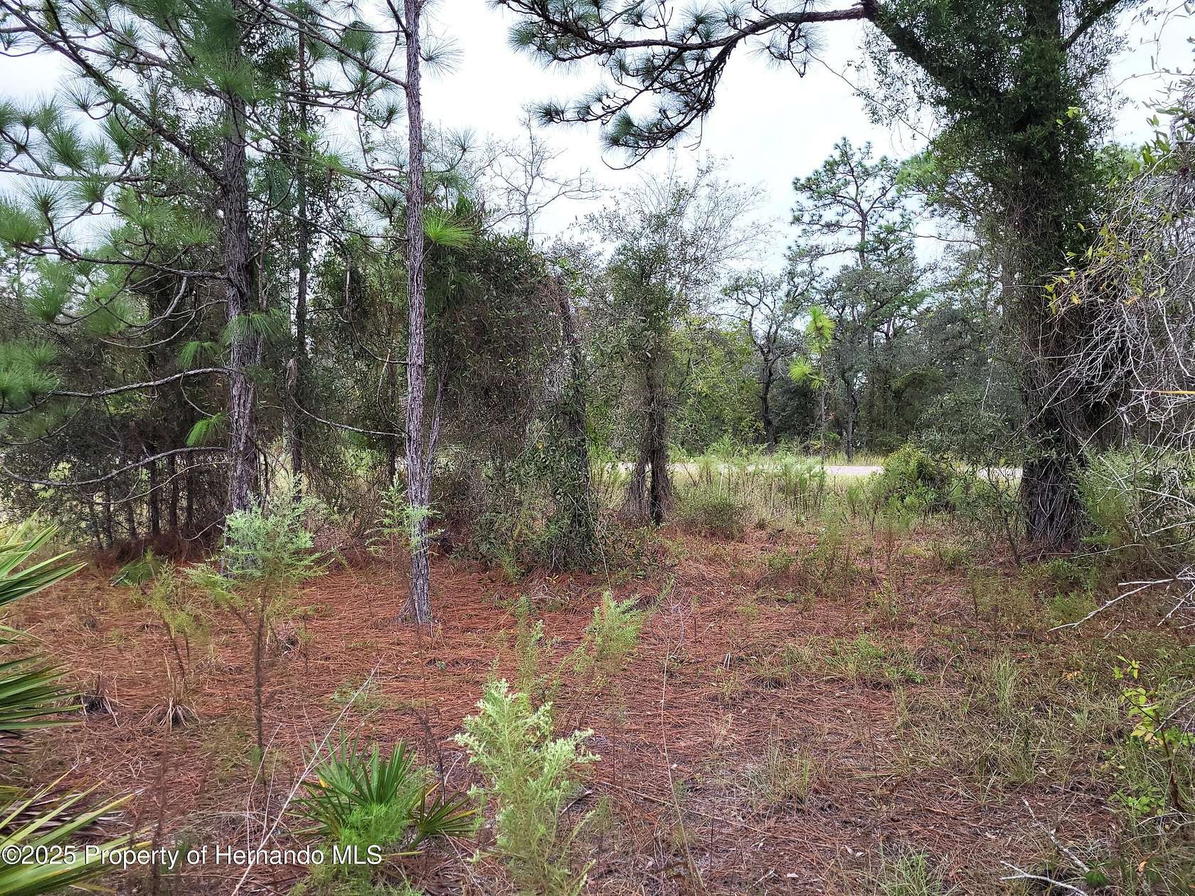 1.3 Acres of Residential Land for Sale in Weeki Wachee, Florida