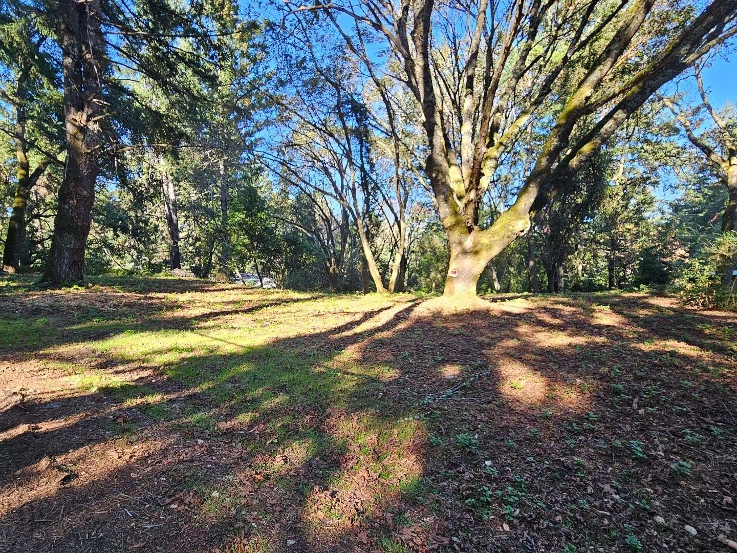 1.13 Acres of Residential Land for Sale in Los Gatos, California