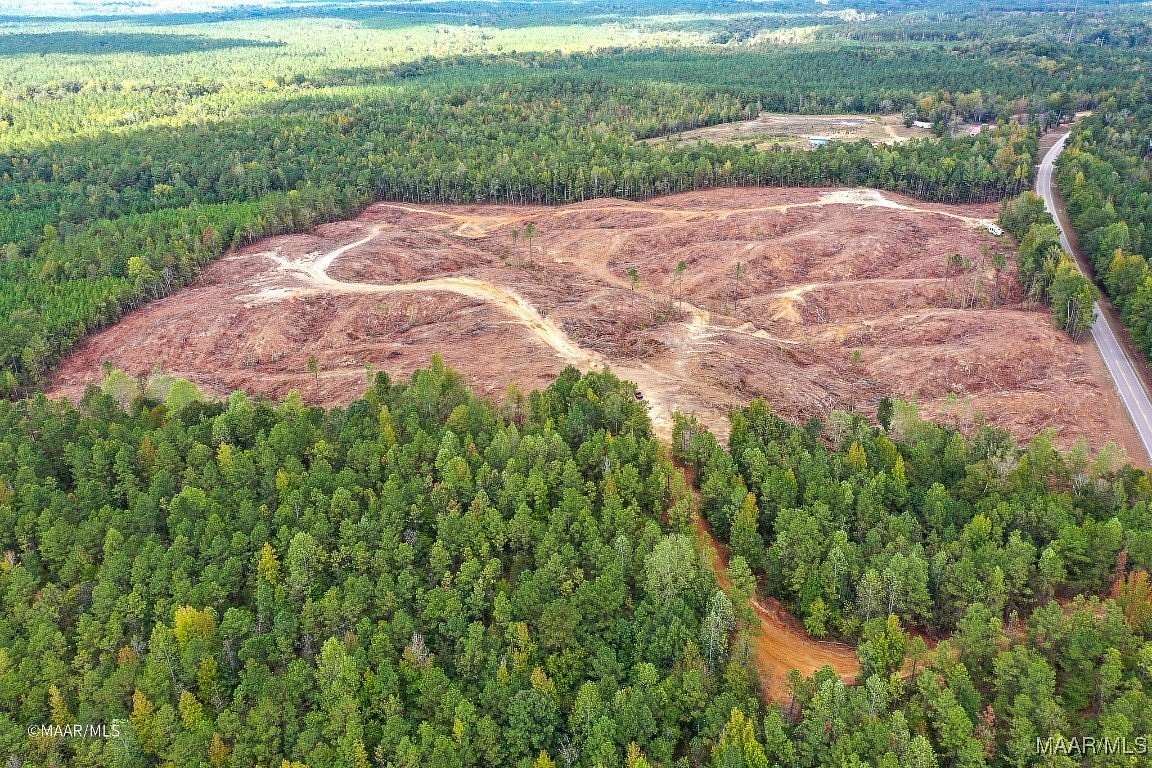 41 Acres of Recreational Land for Sale in Linden, Alabama