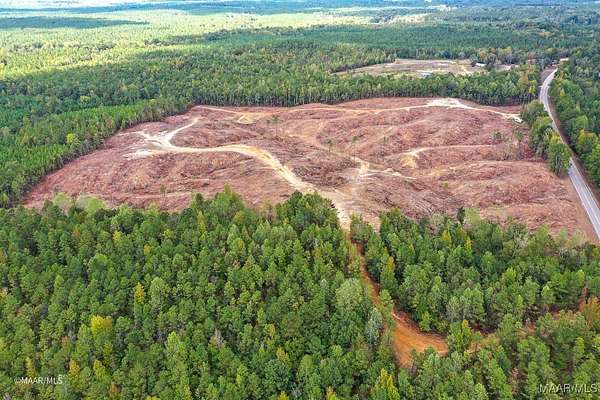 41 Acres of Recreational Land for Sale in Linden, Alabama