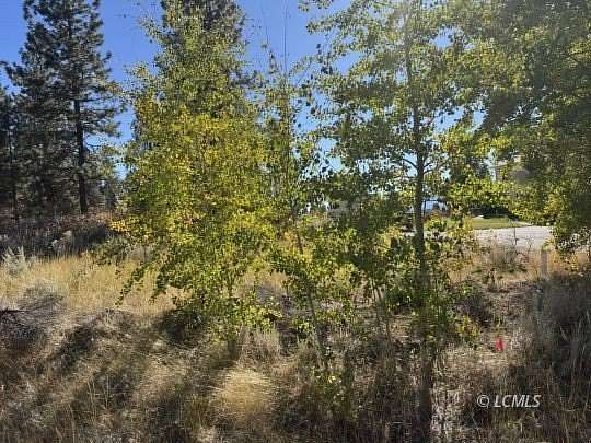 0.3 Acres of Residential Land for Sale in Chiloquin, Oregon