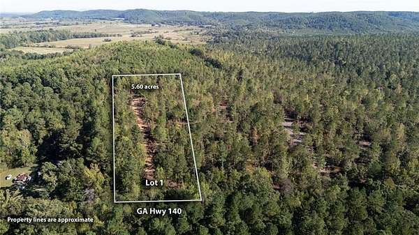 5.6 Acres of Residential Land for Sale in Rydal, Georgia