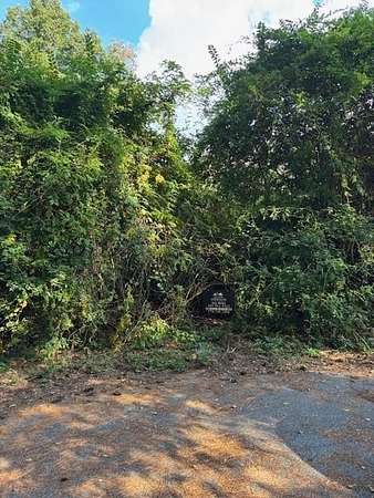 0.86 Acres of Residential Land for Sale in Atlanta, Georgia