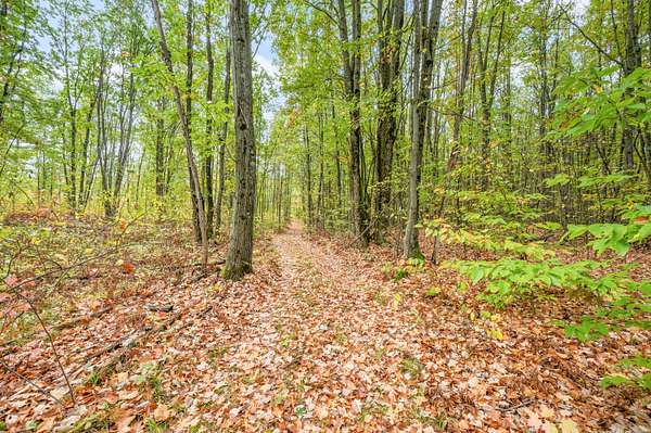 5 Acres of Recreational Land for Sale in Evart, Michigan