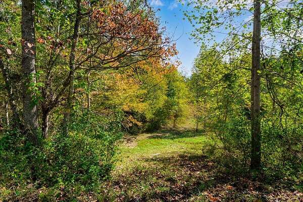 108 Acres of Recreational Land for Sale in Campton, Kentucky