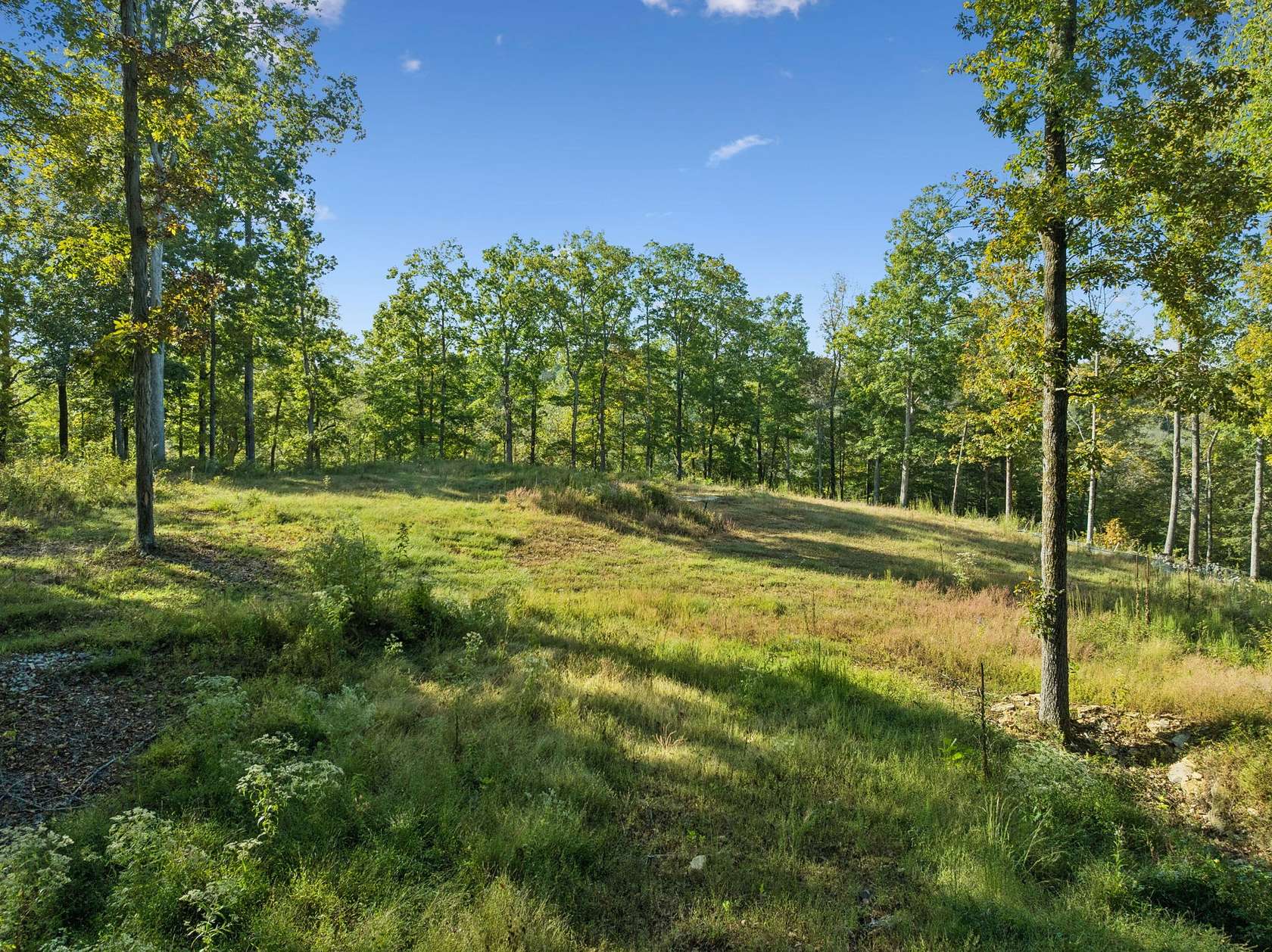 12 Acres of Land for Sale in Franklin, Tennessee