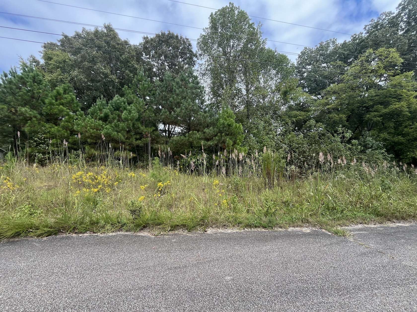 1.14 Acres of Residential Land for Sale in Jackson, Tennessee