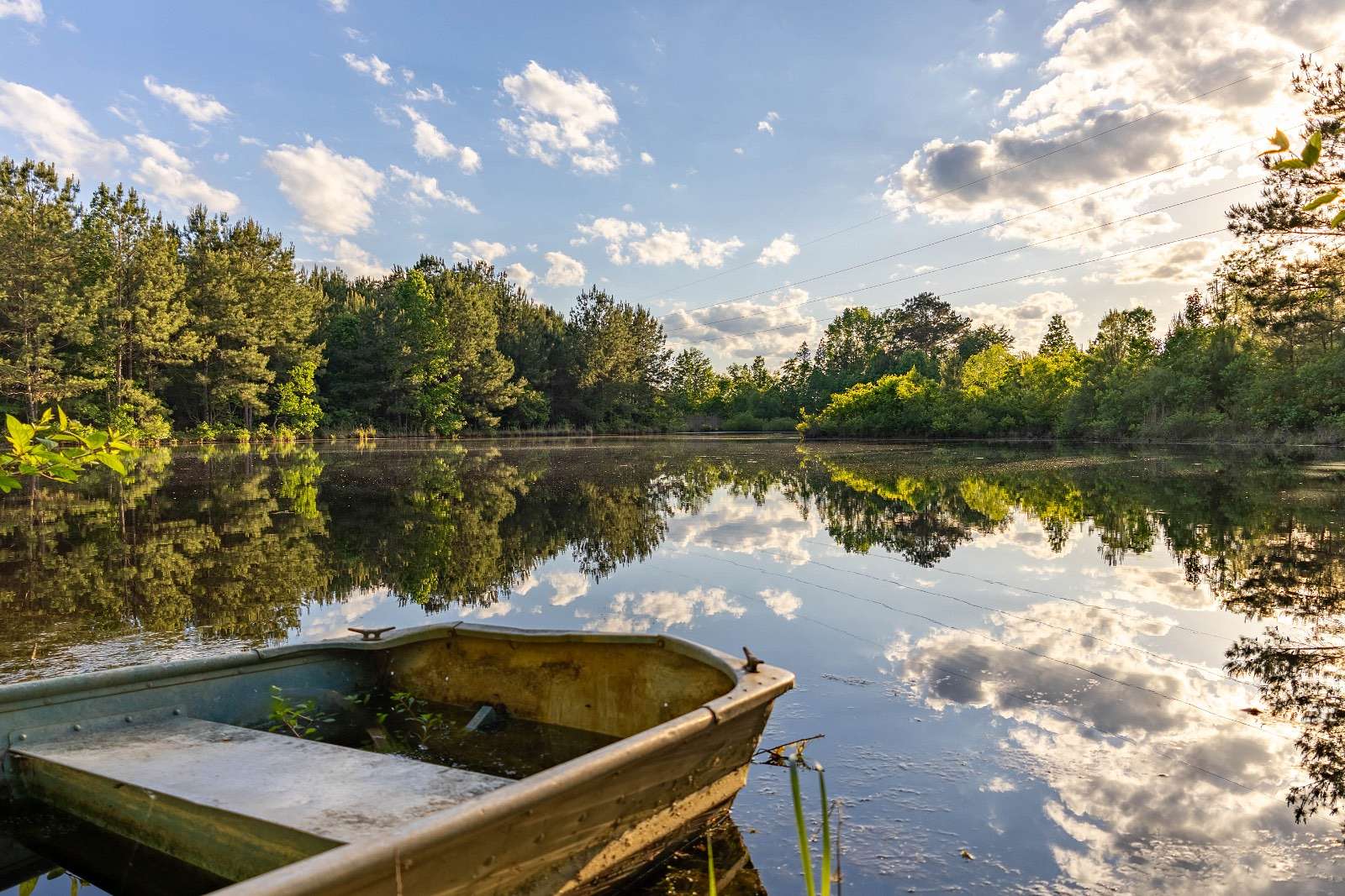 42.3 Acres of Recreational Land for Sale in Georgiana, Alabama