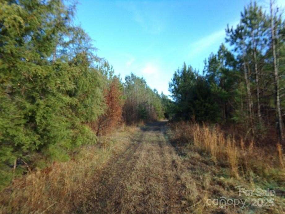 38 Acres of Recreational Land for Sale in Chester, South Carolina