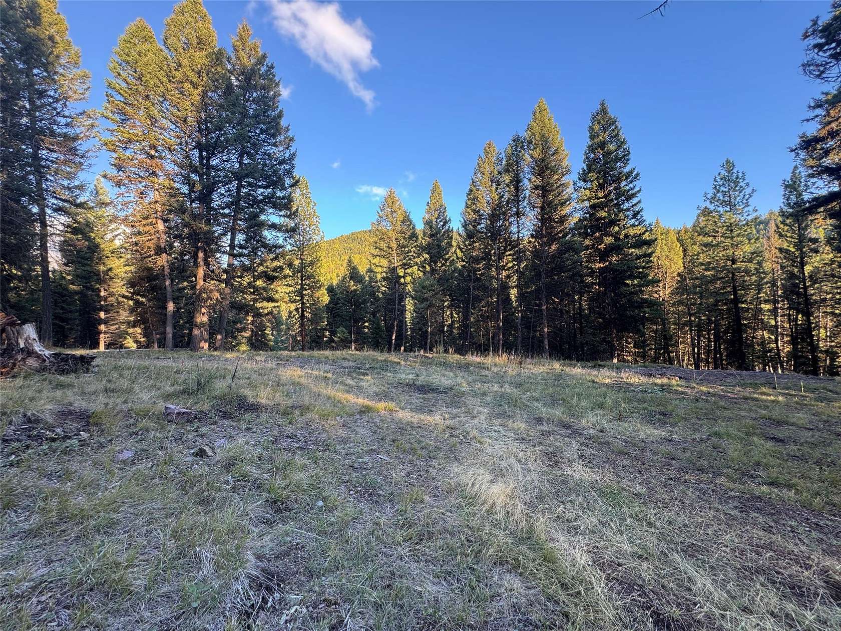 3.3 Acres of Land for Sale in Seeley Lake, Montana