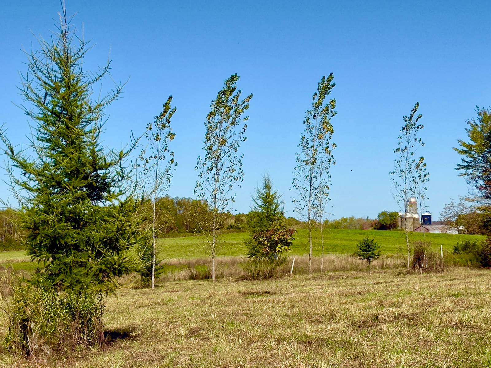 19.1 Acres of Recreational Land for Sale in Eaton, New York