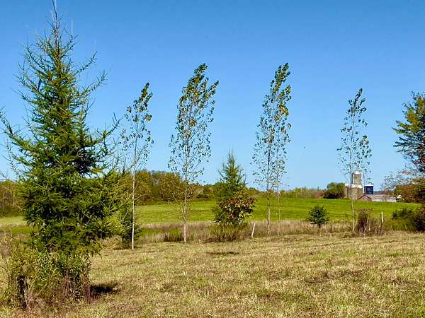 19.1 Acres of Recreational Land for Sale in Eaton, New York