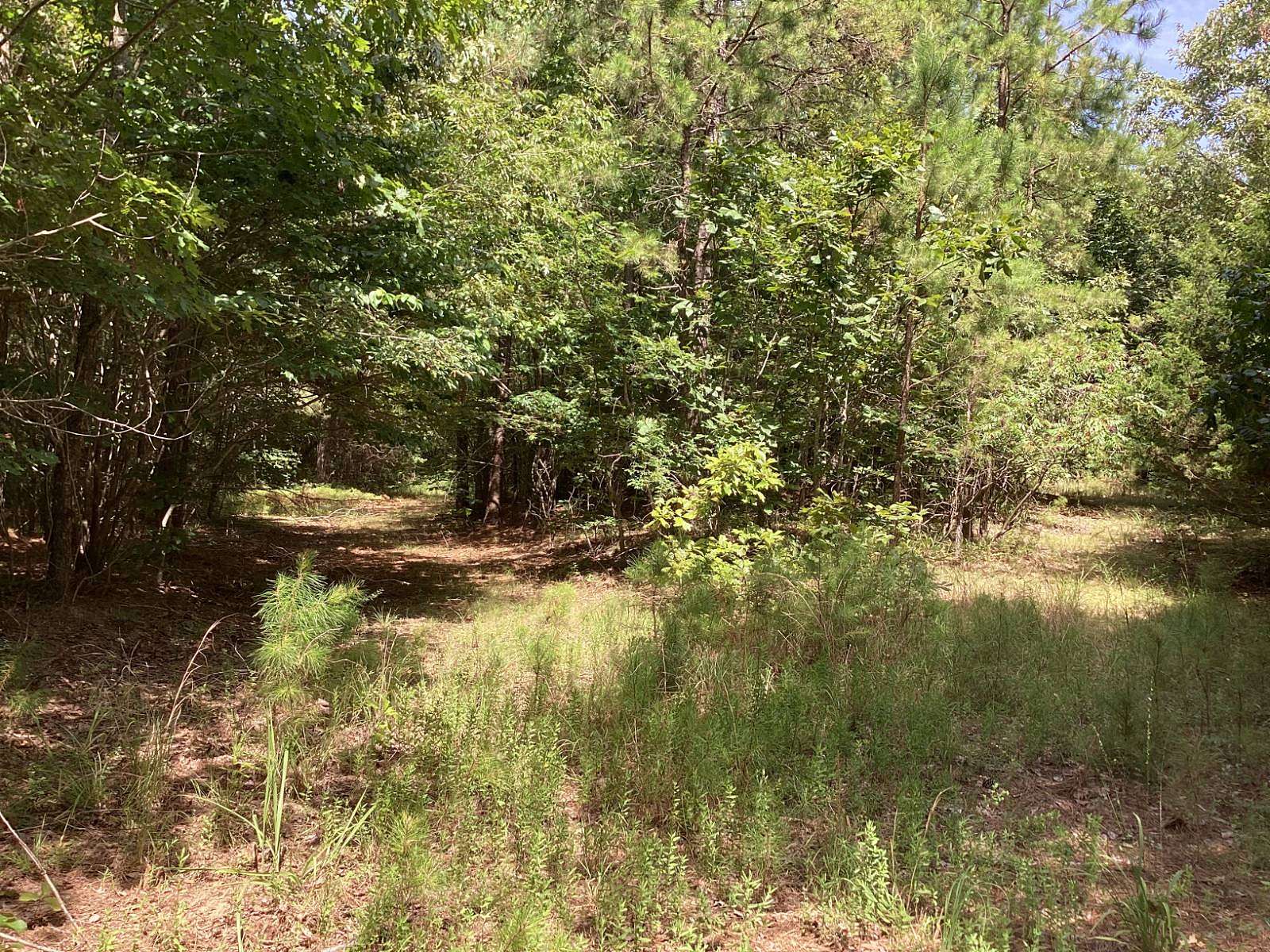 40 Acres of Recreational Land for Sale in Grannis, Arkansas