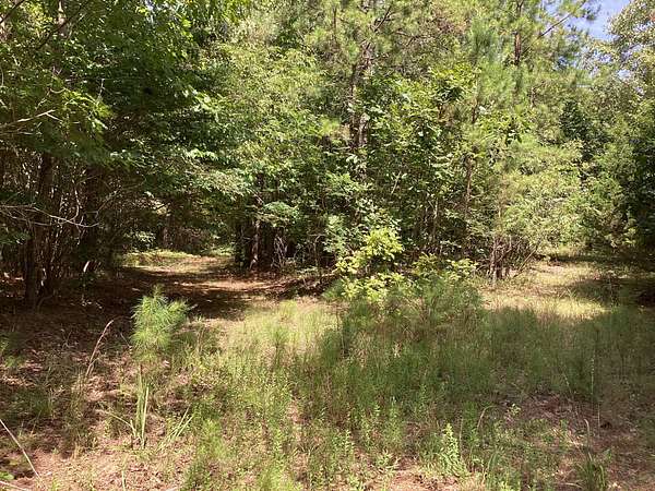 40 Acres of Recreational Land for Sale in Grannis, Arkansas