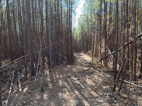 122 Acres of Recreational Land for Sale in Hamilton, Alabama