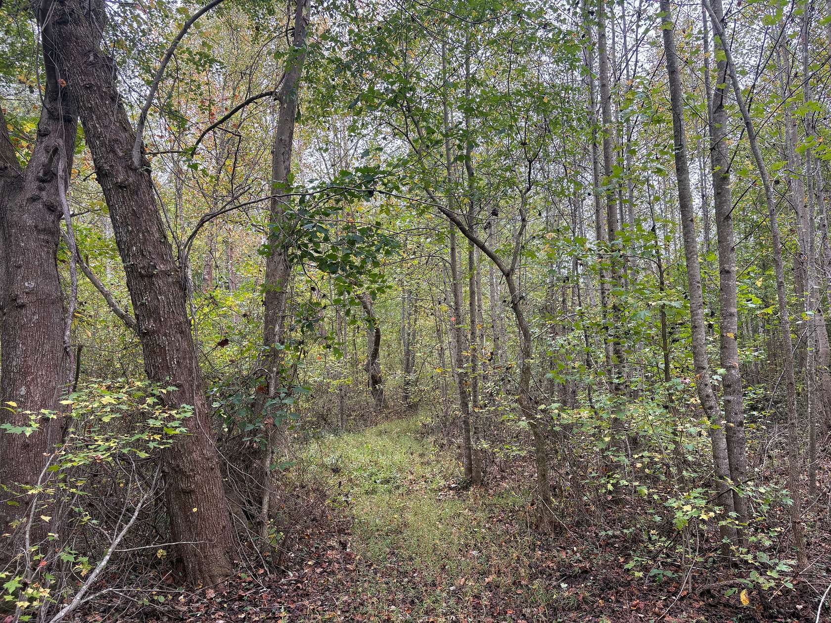 31 Acres of Recreational Land for Sale in Gum Spring, Virginia