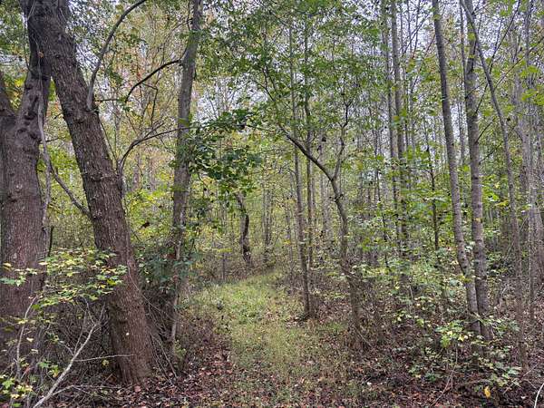 31 Acres of Recreational Land for Sale in Gum Spring, Virginia