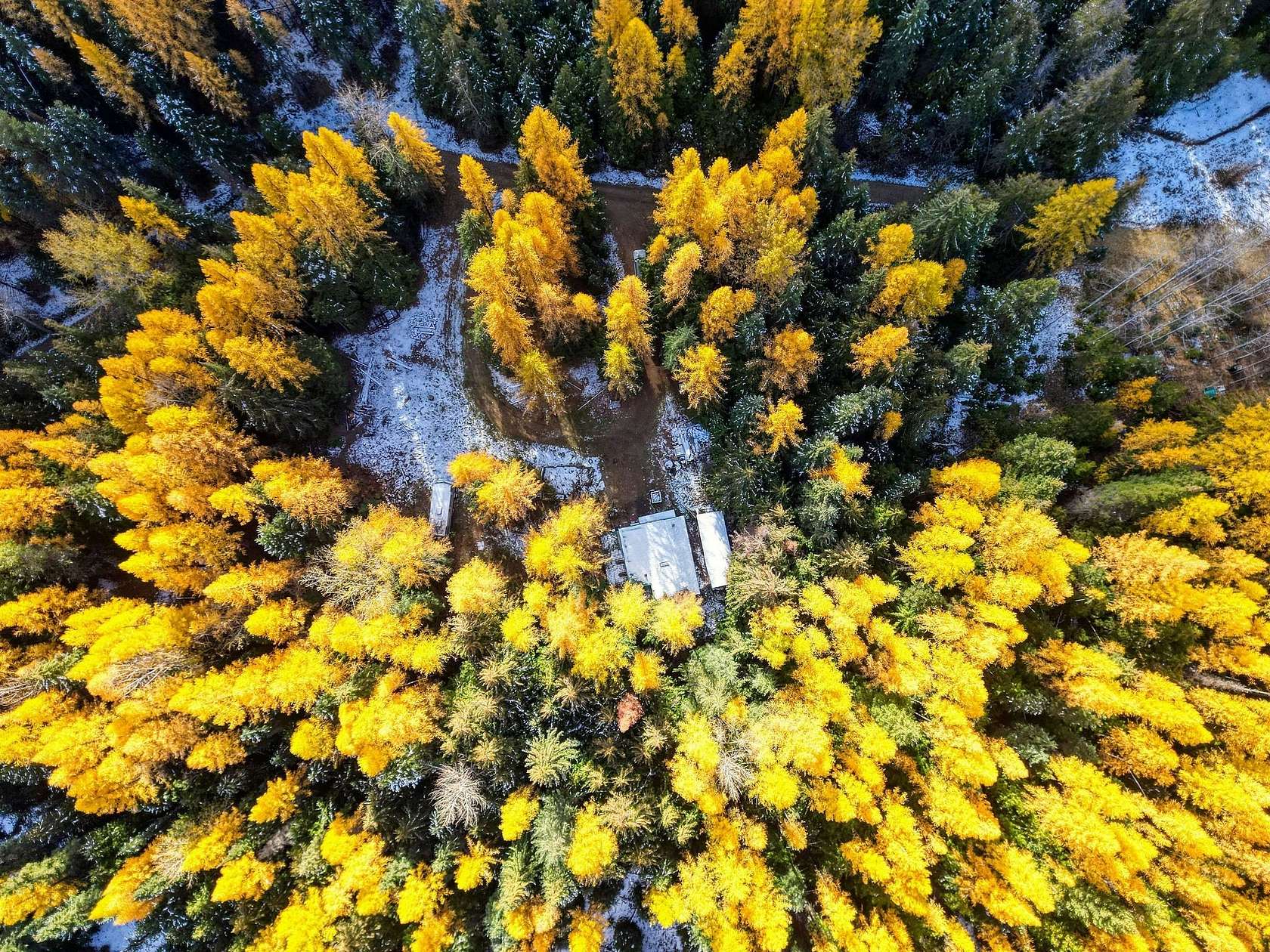 40 Acres of Recreational Land for Sale in Trego, Montana