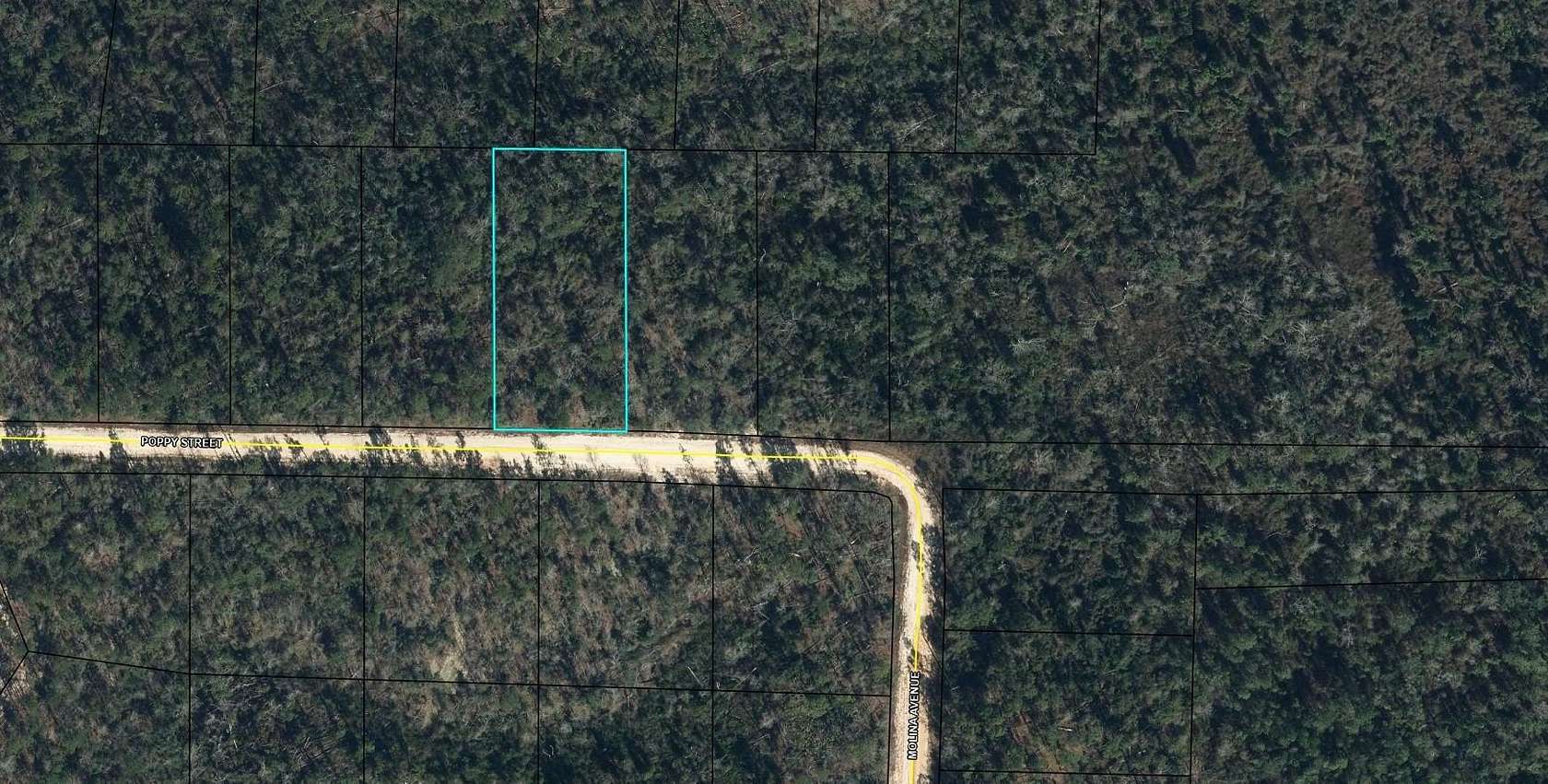 1.17 Acres of Residential Land for Sale in Marianna, Florida