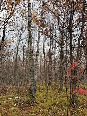 1 Acre of Residential Land for Sale in Cable, Wisconsin