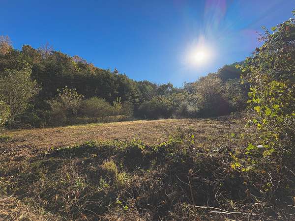 5.8 Acres of Residential Land for Sale in Dayton, Tennessee