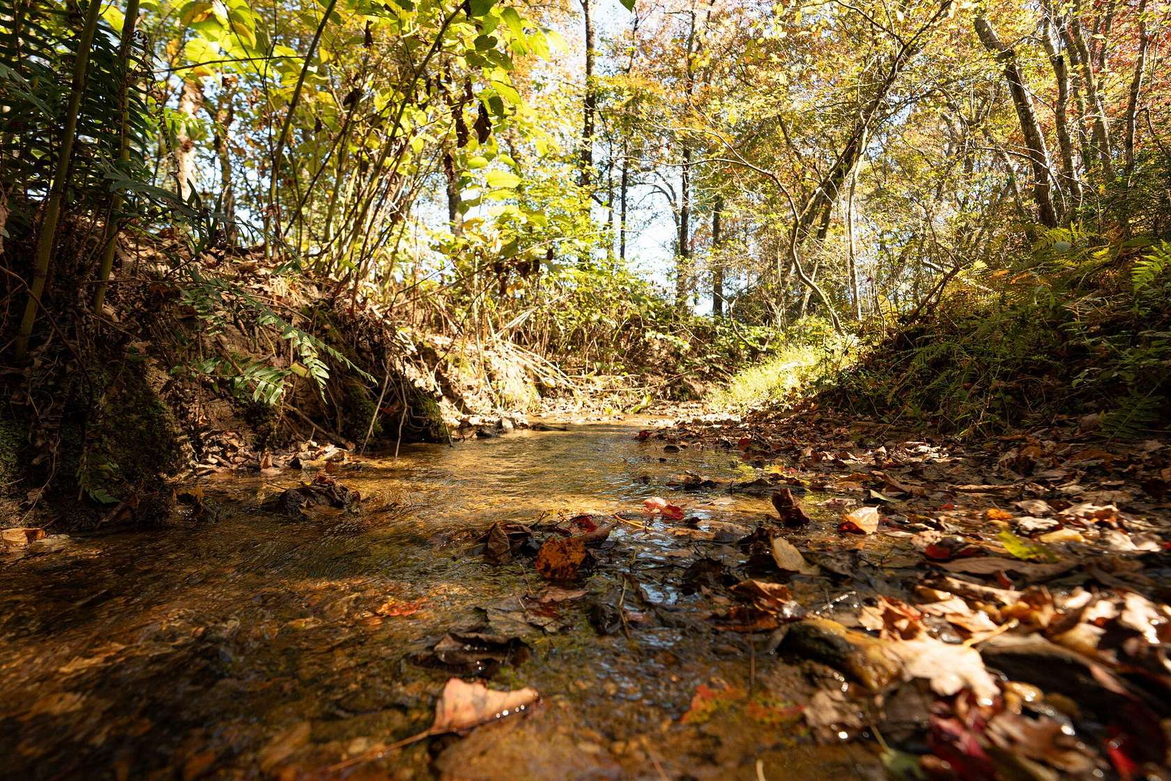 24 Acres of Land for Sale in Copperhill, Tennessee