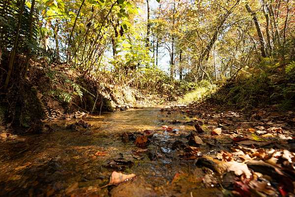 24 Acres of Land for Sale in Copperhill, Tennessee