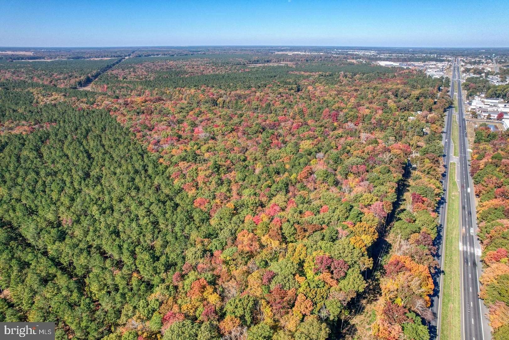 64.5 Acres of Mixed-Use Land for Sale in Dagsboro, Delaware