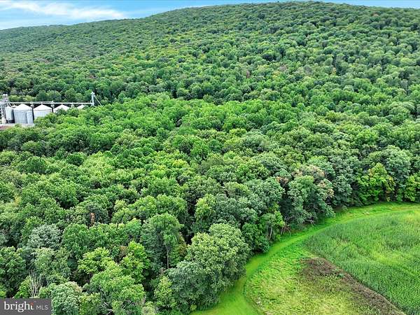31.1 Acres of Land for Sale in Elizabethville, Pennsylvania