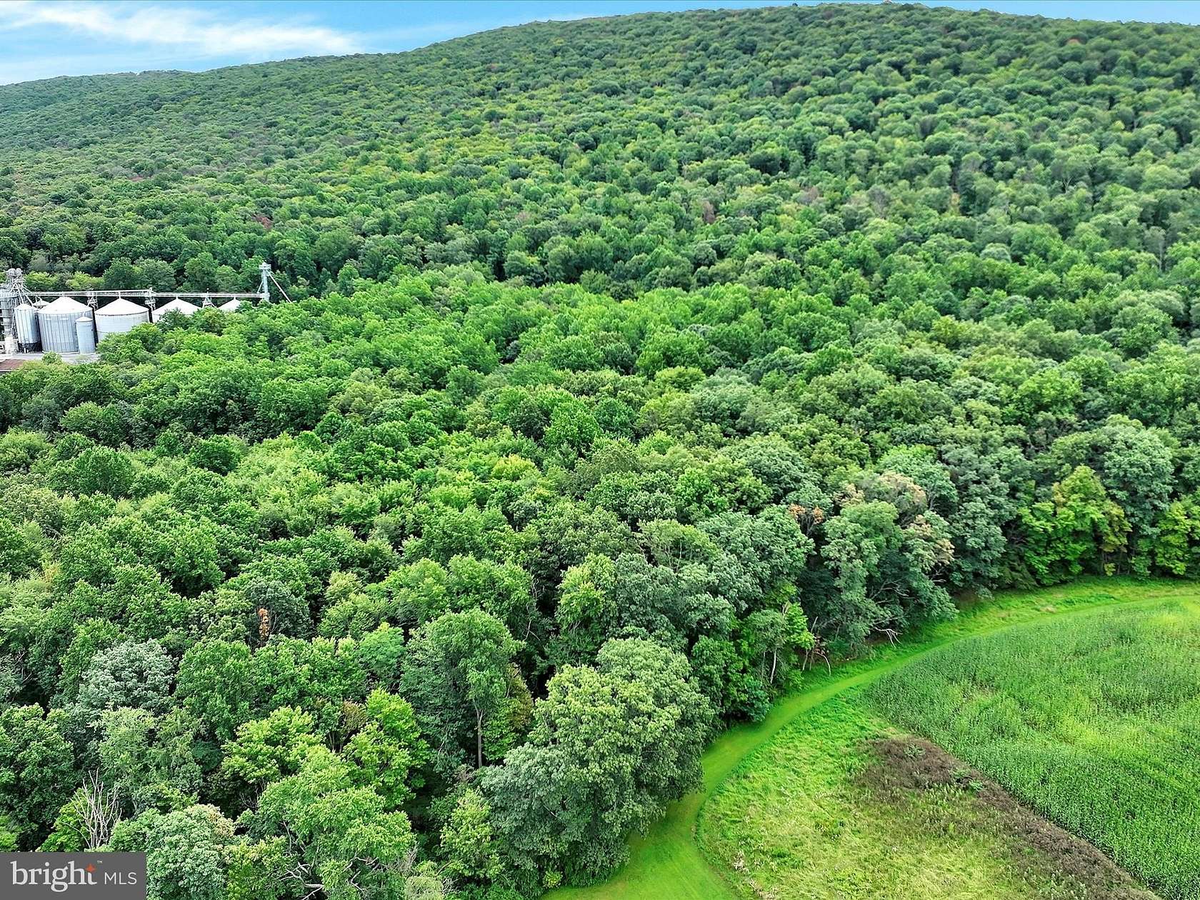 37.4 Acres of Recreational Land for Sale in Elizabethville, Pennsylvania