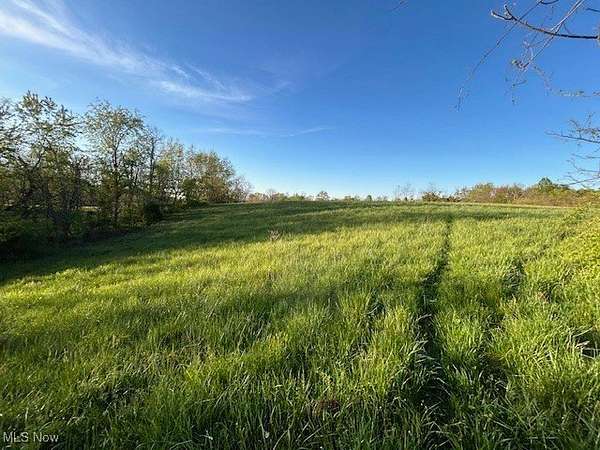 117 Acres of Recreational Land for Sale in Newport, Ohio