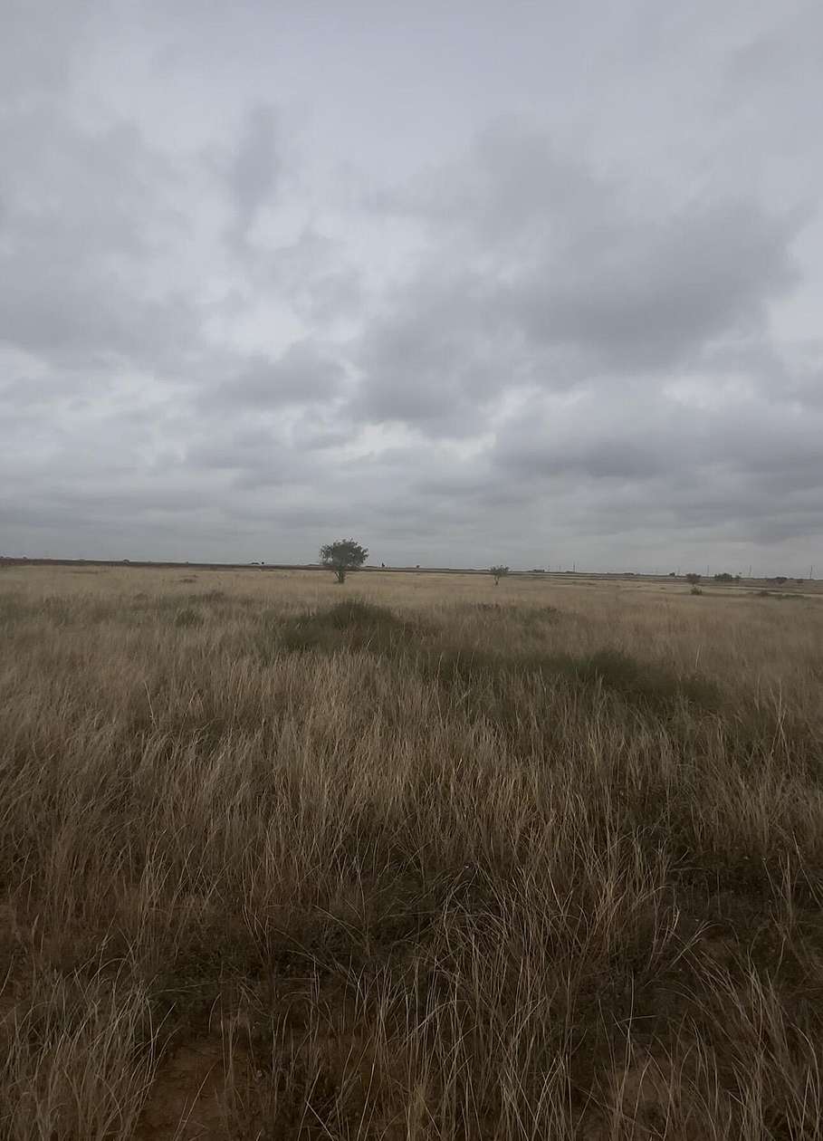 10 Acres of Land for Sale in Abernathy, Texas