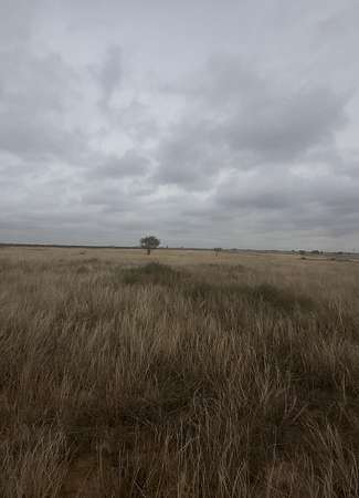 10 Acres of Land for Sale in Abernathy, Texas