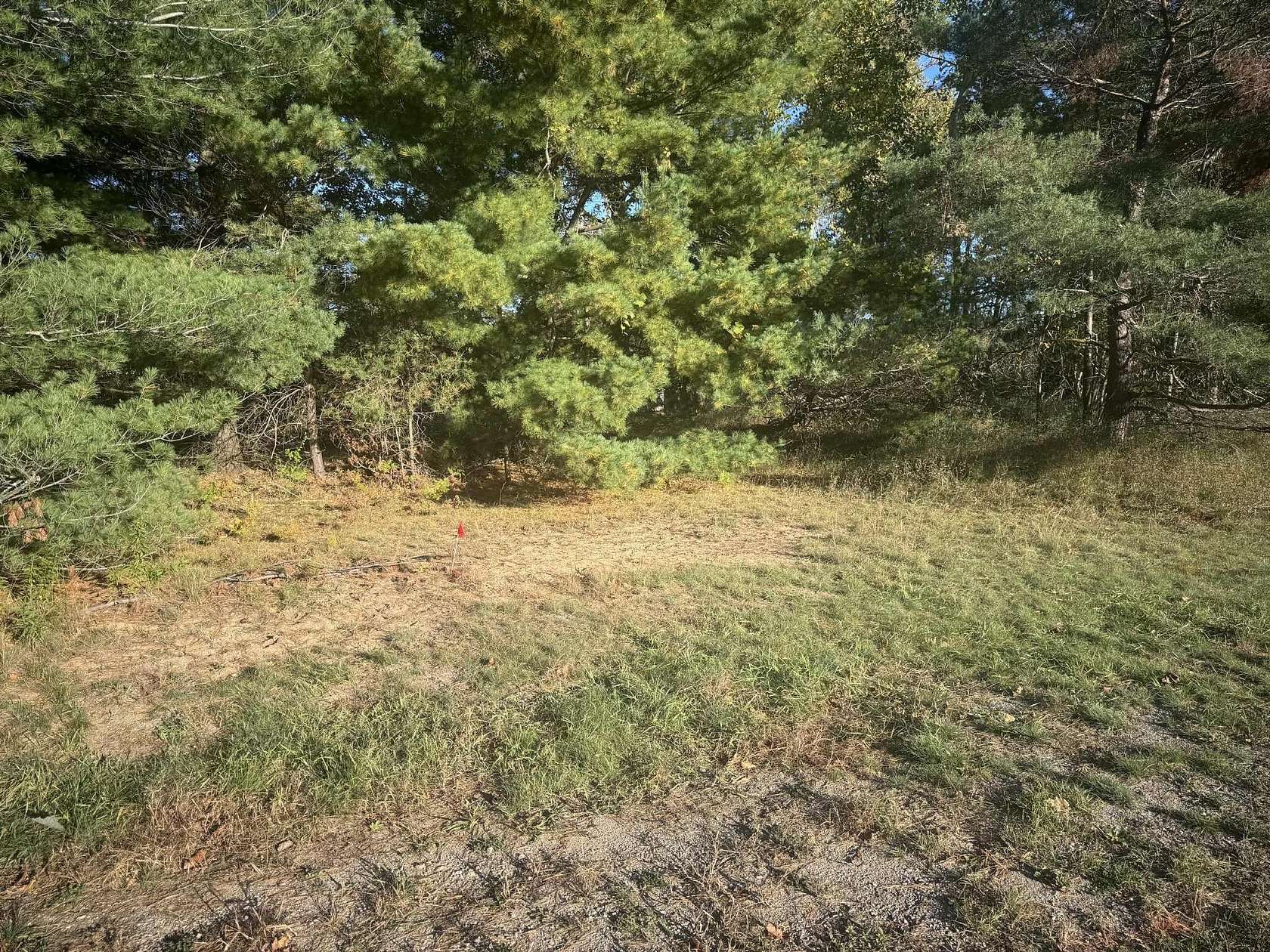 Land for Sale in Alpena, Michigan