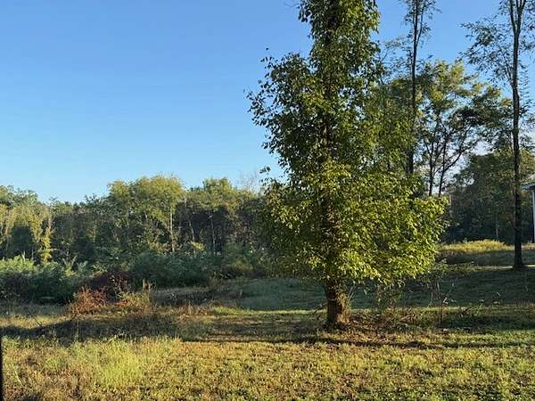 Residential Land for Sale in Decherd, Tennessee