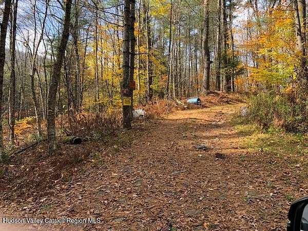 4.49 Acres of Residential Land with Home for Sale in West Kill, New York