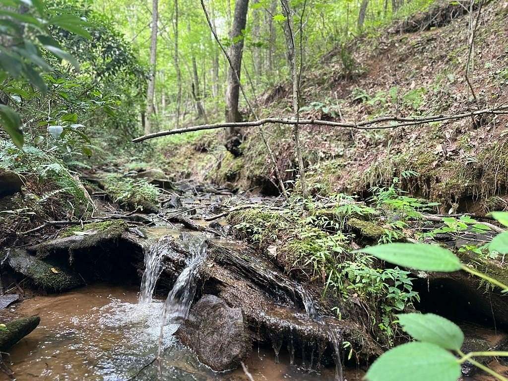 3 Acres of Land for Sale in Mineral Bluff, Georgia