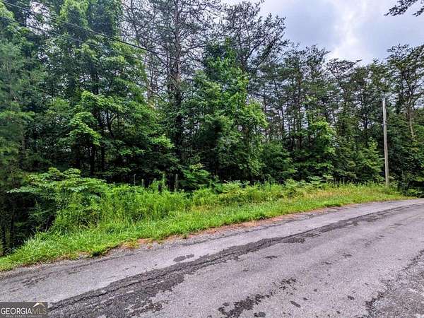 0.48 Acres of Land for Sale in Turtletown, Tennessee