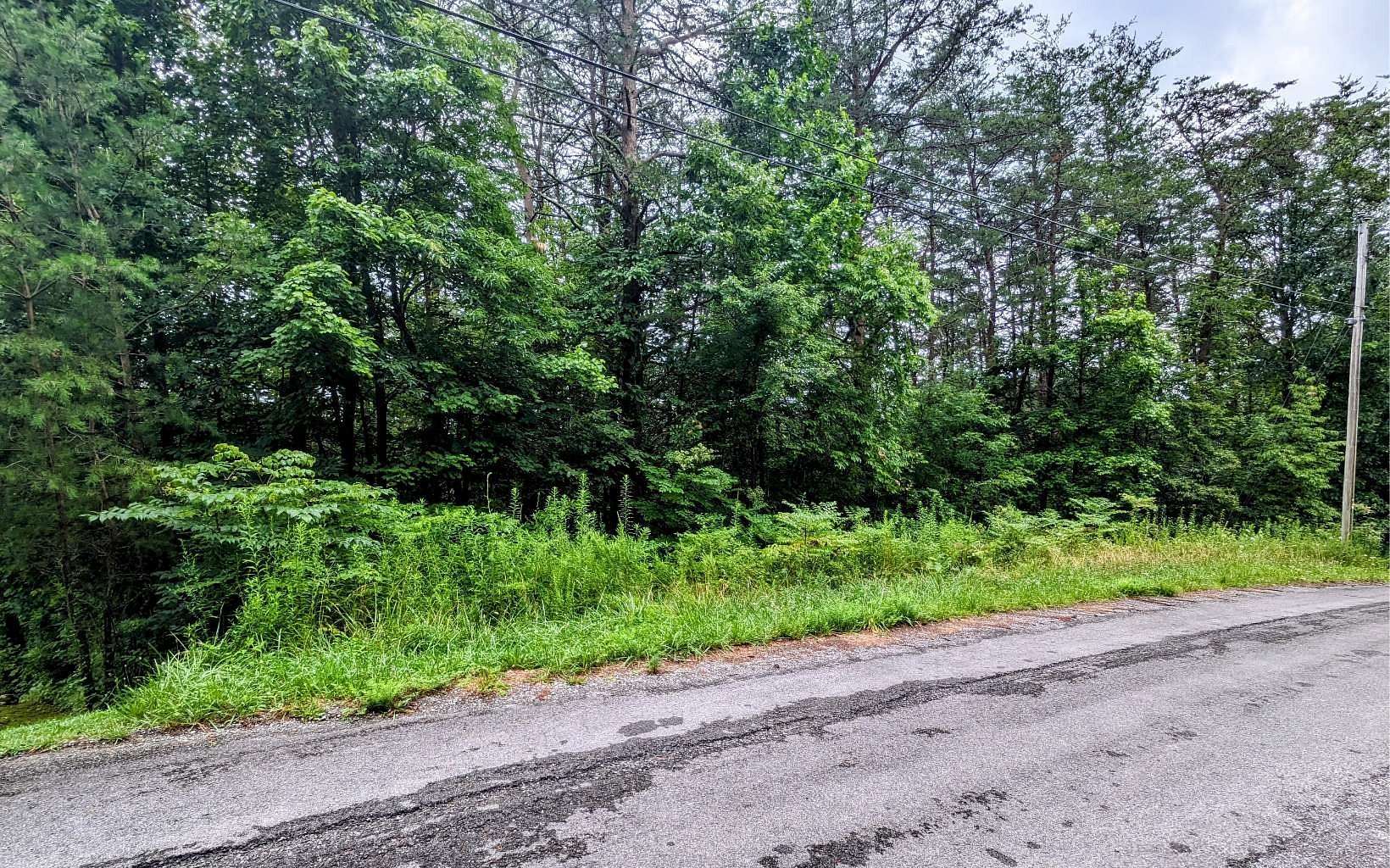 0.48 Acres of Land for Sale in Turtletown, Tennessee