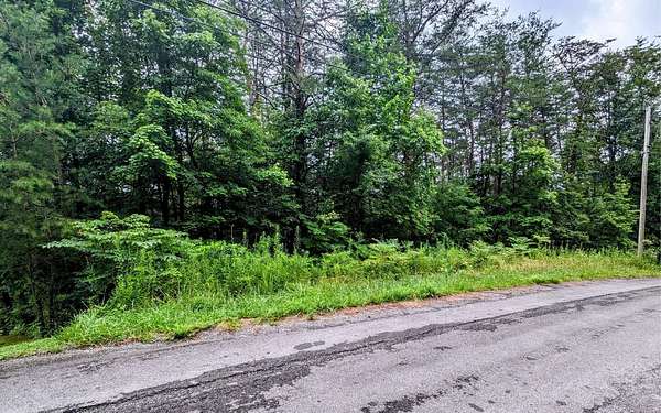 0.48 Acres of Land for Sale in Turtletown, Tennessee