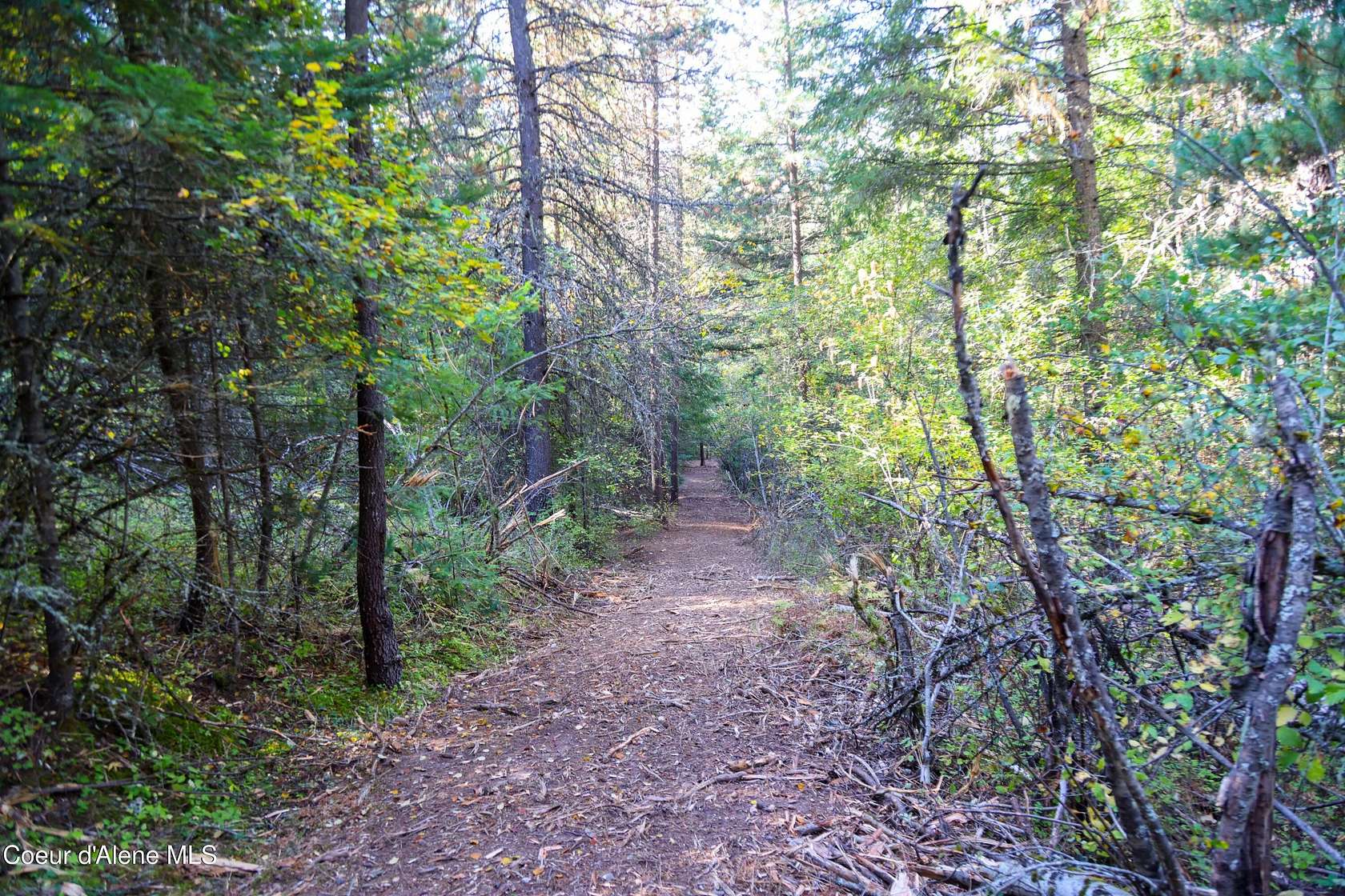 31 Acres of Recreational Land for Sale in Kingston, Idaho