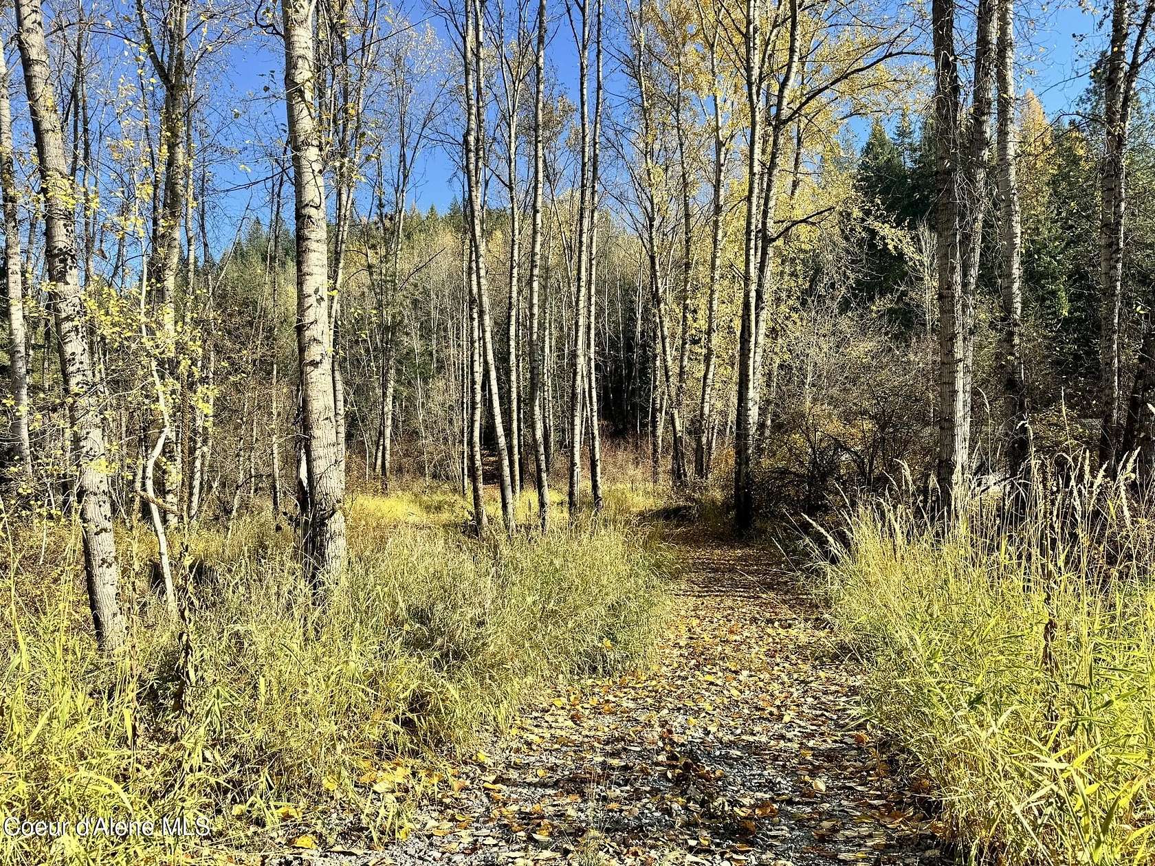 31 Acres of Recreational Land for Sale in Kingston, Idaho