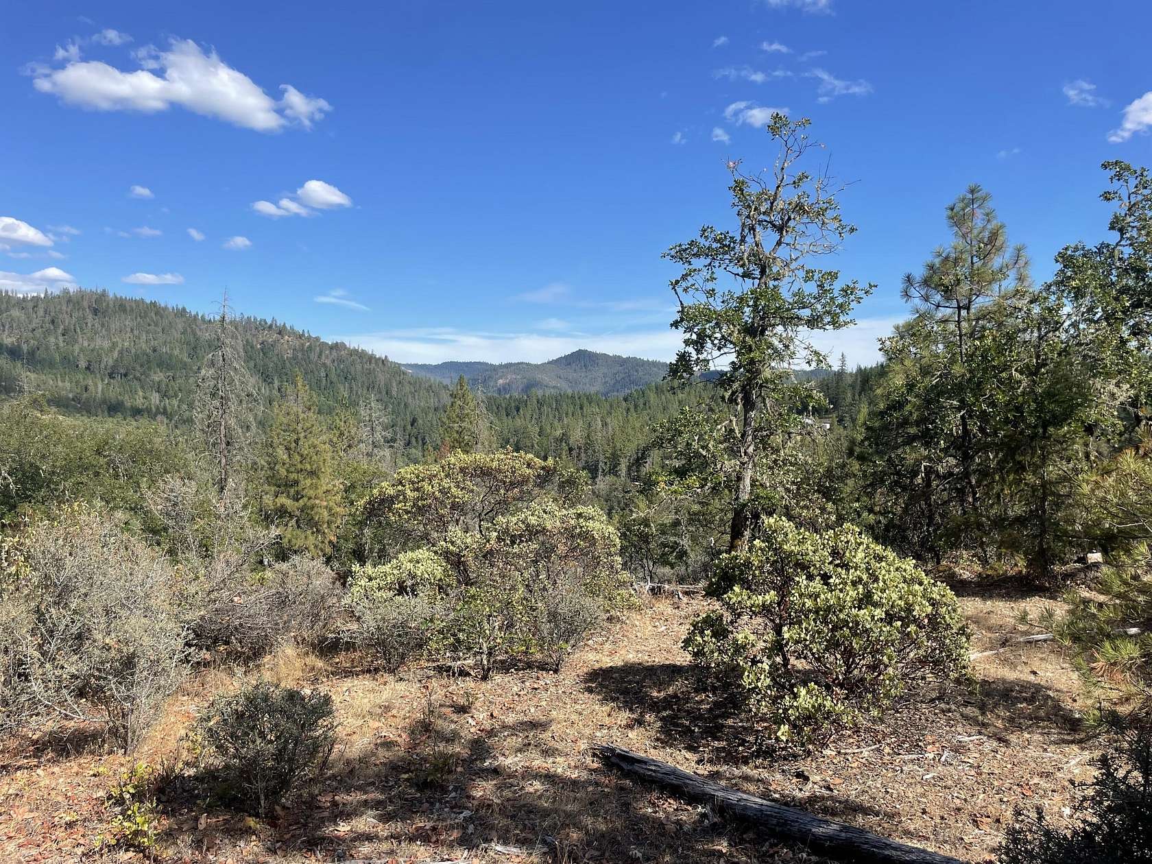 101 Acres of Recreational Land for Sale in Trail, Oregon