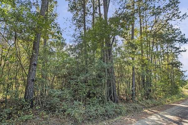 12.9 Acres of Land for Sale in Zavalla, Texas