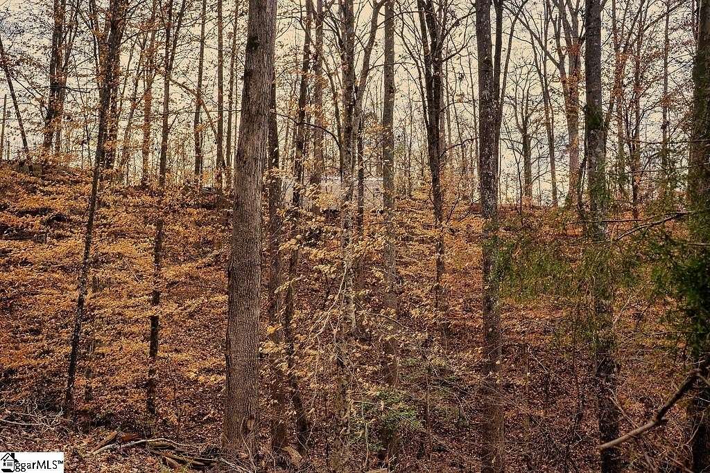 0.41 Acres of Residential Land for Sale in Abbeville, South Carolina