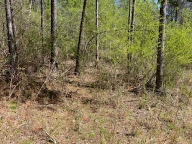 12.9 Acres of Land for Sale in West Union, South Carolina